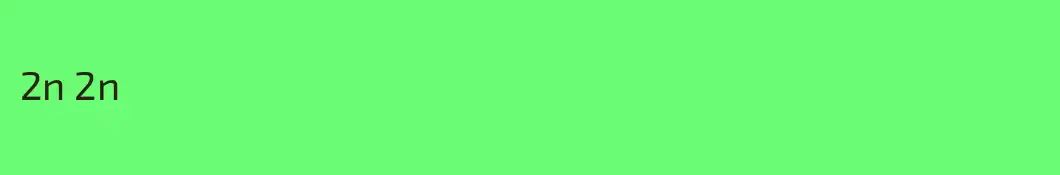 2n 2n